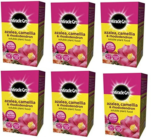 6 x Azalea Plant Food 1KG