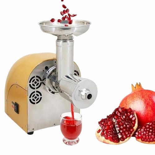 Extracteur de jus professionnel 250 W, extracteur de jus à mastication lente, centrifugeuse en acier inoxydable, extracteur de jus électrique à séparation de marc, jus de noix de coco, jus de céleri