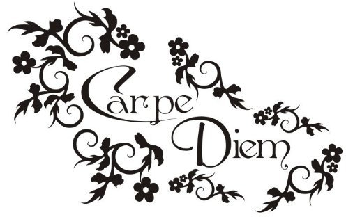 Wandtattooladen Wandtattoo - Carpe Diem 2 Größe:55x35cm Farbe: grau