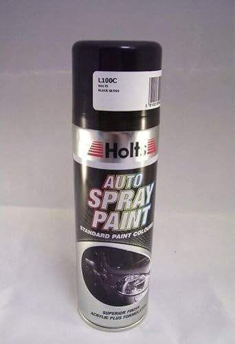 Holts LOYL100C Paint Match Pro, 300 ml, Gloss Black