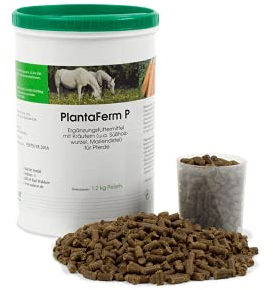 PlantaVet PlantaFerm P | 1,2 kg | Ergänzungsfuttermittel für Pferde | Zur Unterstützung einer physiologischen Magen-Darm-Funktion | Kann die Darmsymbiose fördern