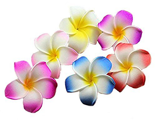 Calcifer® - Lot de 30 pinces à cheveux de 5 cm - Style fleurs hawaïennes de frangipanier - Pour mariage et fête