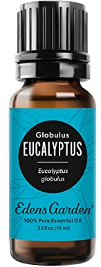 Edens Garden Eucalyptus - Globulus Essential Oil- 100% Pure Premium Grade, Undiluted, Natural, Therapeutic, Aromatherapy, The Best for Diffuser, Candle, Hair, Humidifiers 10 ml (.33 fl oz)