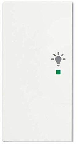 Wippe/L 2-fach, Licht BUSCH-JAEGER 6231-21-884