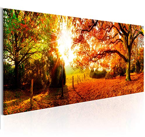 decomonkey Bilder Wald Herbst 120x40 cm XXL 1 Teilig Leinwandbilder Bild auf Leinwand Vlies Wandbild Kunstdruck Wanddeko Wand Wohnzimmer Wanddekoration Deko Natur Landschaft