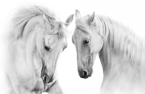 PFERDE Fototapete VLIES-250x186 cm (4328A)-Natur Landschaft Pferd Pony Cowboy Kinder Tiere Wandtapete-Inkl. Kleister-Vliestapete Bild Dekoration Wand-Dekor Moderne Motiv-Tapete Panorama Poster XXL