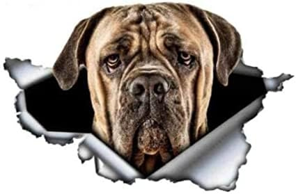 Autoaufkleber, 22 Cm, Schwarzer Cane Corso, Autoaufkleber, Zerrissenes Metall, Reflektierende Aufkleber, Wasserdicht, Auto-Styling, Haustier-Hunde-Aufkleber (Hg1Fs12812)(2 Stück)