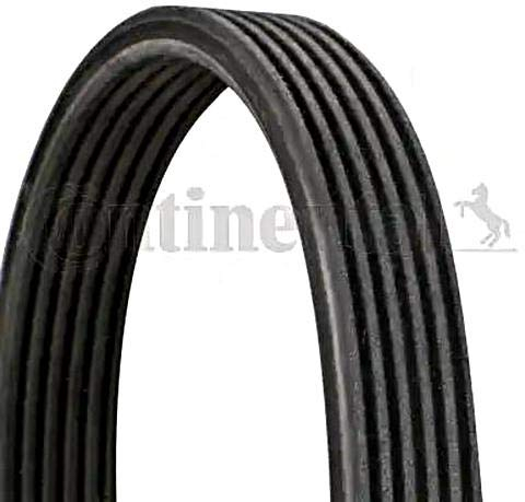 CONTITECH 6DPK1697 Keilrippenriemen Rippenriemen 1697mm 0,291kg