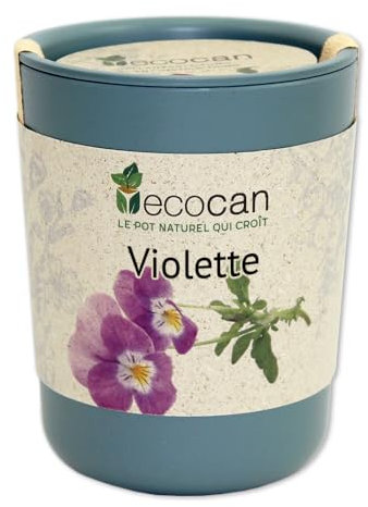 Feel Green Ecocan, Violette Certifiées Bio, Idée Cadeau (100% Biodégradable), Grow-Your-Own/Kit Prêt-à-Pousser, Le Pot Écologique Qui Croît 9 x 7 cm, Produit en Autriche