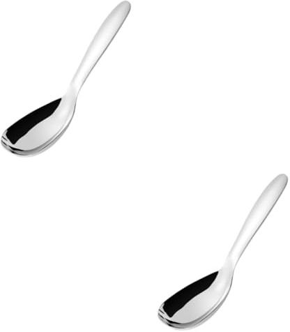 Alipis 2pcs Stainless Steel Serving Spoon Curry Spoon and for Buffet and Camping