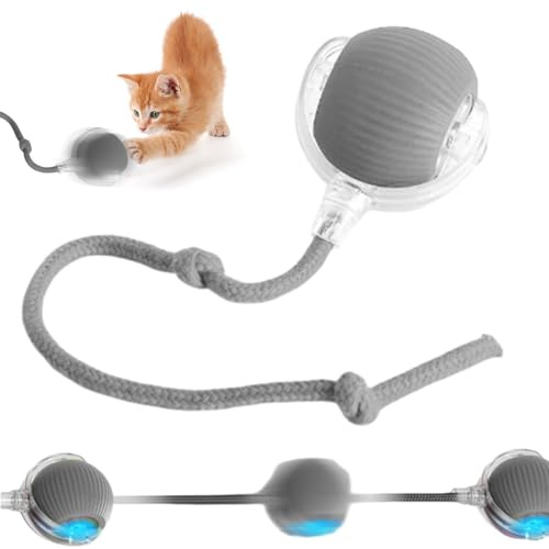 Poxtedsr Balle à Rouler pour Chat Et Chien, Interactive à Rouler pour Chats, Jouet Interactif Chien Balle Qui Bouge Toute Seule (Gris)