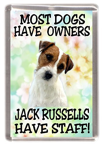 Jack Russell Dog Fridge Magnet Most Dogs Have Owners Jack RUSSELLS Have Staff