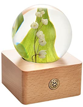 Dr. Pets Miss LI Garden Für Immer Maiglöckchen Boule de Cristal pour Femme, Petite Amie, Femme, Anniversaire, fête des mères, Anniversaire, Saint Valentin, décoration d'intérieur (12e muguet)
