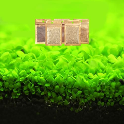 10g Grass Seeds Fast Growing,Aquarium Grass Plants Seeds, Fish Aquatic Water Grass Decor (Calf Hair)