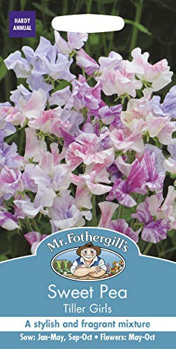 Mr Fothergill's Flower Seeds, Sweet Pea Tiller Girls, Stylish Mix, 0.5 x 7.5 x 14.5 cm