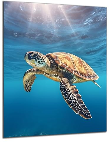DARO Design - Wand-Bild 6mm HDF 70x50 cm Unterwasser Schildkröte Turtle - Wand-Deko Bilder Wohnzimmer