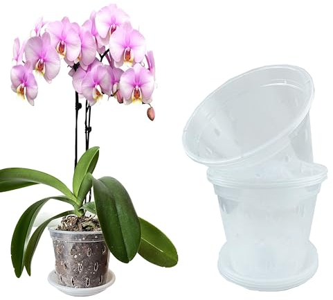Mesoar Pots à orchidée en plastique transparent de 17 cm avec trous et soucoupes pour plantes et fleurs - Pots à orchidée pour le rempotage en intérieur et en extérieur (6, 17 cm avec soucoupes)