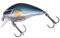 ZECK Wobbler/Kleiner Crankbait für Barsch, Forelle & Döbel - Danny 2.0 | 4,5 cm | 0,5 m F - Baitfish