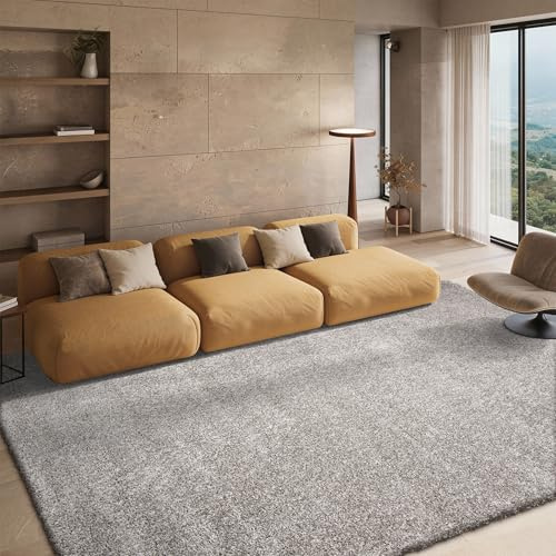 SAFAVIEH California Shag Collection Area Rug - 6'7 x 9'6, Silver, Non-Shedding & Easy to Clean, Ultra Plush Thick Pile, Ideal for Living Room, Bedroom, Dining Space (SG151-7575)