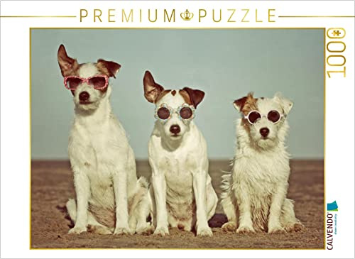 CALVENDO Puzzle DREI Terrierhippies | 1000 Teile Lege-Größe 64 x 48 cm Foto-Puzzle für glückliche Stunden