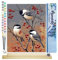 Figured'Art Malen Nach Zahlen Erwachsene Mit Rahmen Vögel und Obstbaum - Paint by Numbers Basteln DIY Bastelset 40x50cm Mit Keilrahmen (nicht gespannt)
