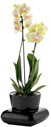 alqua 19CM Self Watering Plant Pots – Black Plastic Flower Pots with Drainage – Modern Glossy Planters for Indoor & Outdoor Plants – Large Garden Pots – Elegant Plant Containers