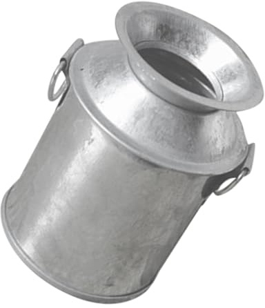 ibasenice Mini Vases Métal Petit Vase Fer Décoratif Métal pour Plantes Succulentes Accessoires pour Mini-Maisons Pot de Fleurs Rustique Vintage