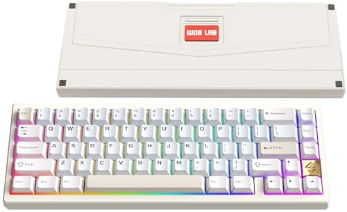 WOBKEY Zen 65 65% Quick Release Wireless Mechanical Keyboard with RGB, CNC Aluminum Case, Hot-Swappable, VIA Support, BT/2.4G/USB-C Gaming Keyboard for Mac/Windows (Ultra White Gold)