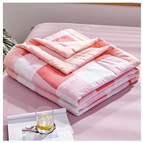 RRNAR Sommer Bettdecke aus Gewaschene Baumwolle, Dünne Steppdecke für Einzelbett, Wendedesign Sommerbettdecken ohne bezug nutzbar, Leichte & Weiche Sommerdecke,B,200x230cm