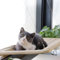 Hamaca para Gato Ventana Plegable con Ventosas Fuertes - Cama Colgante Transpirable para Gatos hasta 18 kg