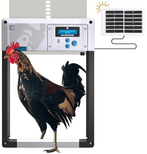 Porte poulailler Automatique 'ChickenGuard All-in-One'. Écran LCD programmable, Mode Hiver Puissant, Capteur de Lumière/Minuterie, Arrêt de Sécurité, Porte/Trappe en Aluminium (Gris + Kit Solaire)