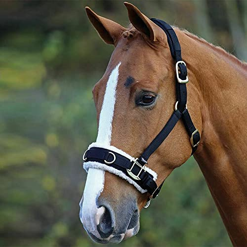 Horse Master Padded Headcollar Halter - Flexible Lunging Cavesson with Comfortable Fleece Lining and Adjustable Buckle Closure - Elegant Stable Accessories and Equipment (Pony, Black)