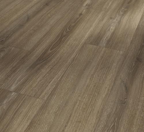 Parador Dekorboden Laminat Basic 600 Eiche Studioline braun Naturmattstruktur Breite Landhausdiele 4-V-Fuge