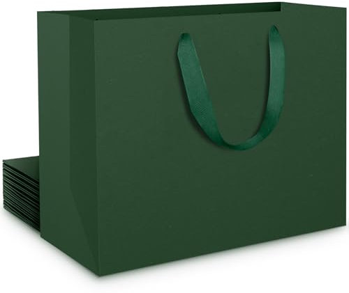 EUSOAR Geschenktüten Grün - 10 stück 230GSM Dunkel Grünes Papiertüten mit Henkel Mittel M 27x8x21cm - Geschenktaschen Dunkegrün - Papiertragetaschen Hellgrün für Weihnachten Geburtstag