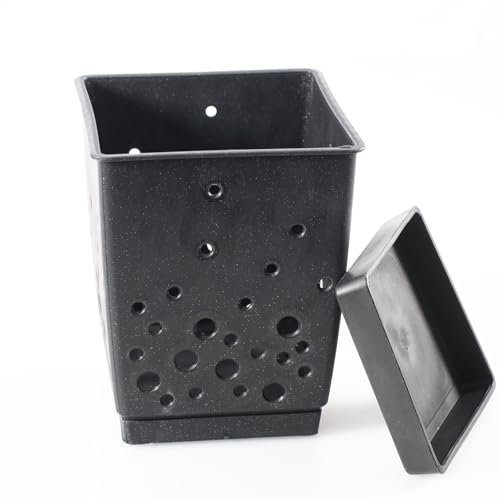 Kerafactum Portaposate per lavastoviglie, 2 pezzi, cestino per posate, fondo rimovibile, senza BPA, conico, contenitore scolapiatti, organizer per l'ufficio, portaposate