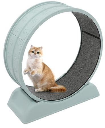 LIAIZE Laufrad für Katzen | Katzenlaufrad mit Cat Teasing Stick und Sicherheitsschnalle | Harz, PP | Rollendesign | 79 * 34 * 84cm | Katzen-Laufrad (Blau)