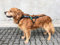 Non-Stop Zuggeschirr FREEMOTION Harness Brustgeschirr schwarz für Hunde Größe 8