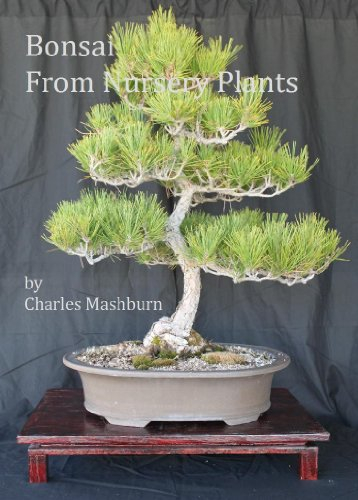 Bonsai From Nursery Plants (English Edition)