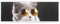 Cmagnifico Federmäppchen, niedliche Brille, Katze, kreative einfache Schreibwaren-Box, 19,5 x 6,8 x 3 cm, Stil:, Einheitsgröße, Federmäppchen