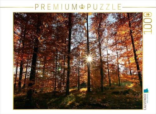 CALVENDO Puzzle Sonnenstrahlen im herbstlichen Wald | 1000 Teile Lege-Größe 64 x 48 cm Foto-Puzzle für glückliche Stunden