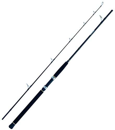 WFT Sea Dart Special Fjord 2,10m 25lbs 30-300g Transportl. 1,1m 2pcs