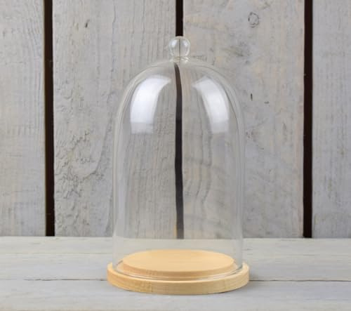 EMH Cloche dôme en verre avec bouton et socle en bois naturel 17,5 x 10 cm