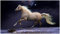 IGHSNZUH Jigsaw Puzzle 1000 Piece Beautiful Hong Kong Night View Jigsaw Puzzle/Yy1/1500 Piece