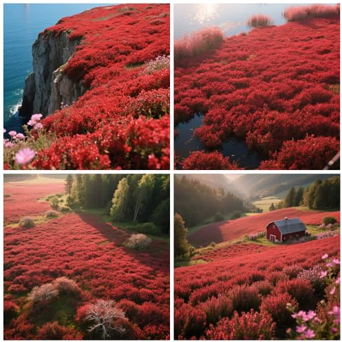 20.000+ Roter Kriechthymian (Thymus serpyllum) – traditioneller Kriechthymian, als Bodendecker – natürliche Bestäubung