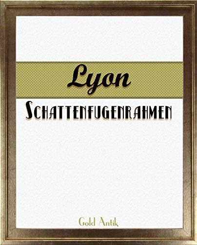 Homedeco-24 Lyon Schattenfugenrahmen 70x100 cm in Gold Antik ohne Verglasung ideal für Canvas Leinwand Bilder Farbwahl