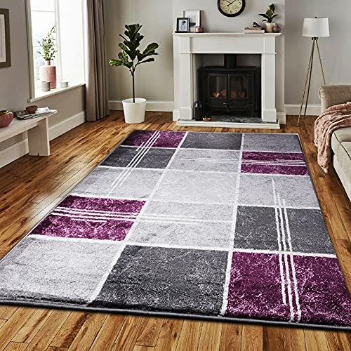 B&B Super Soft Rugs for Living Room Bedroom Rug - Thick Dense Pile Non Shed Fluffy Rug For Bedroom - Small Medium Large Carpet Area Rugs Kitchen Floor Mat (Purple, 80 x 150 cm (2ft 8 x 5ft))