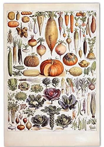 bopely Vintage Fruits Gemüse Poster Drucke Botanische Identifikation Referenz Chart Küchendekoration