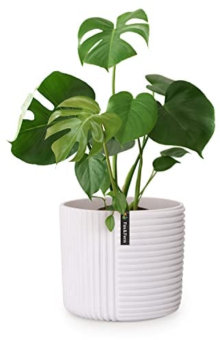 Fox&Fern Blumentopf L mit Linienstruktur - 27cm großer Übertopf inklusive Wasserabfluss für Pflanzen im Außen- & Innenbereich - passend für Fox&Fern Blumenständer L (30cm Durchmesser) - Farbe: Weiß