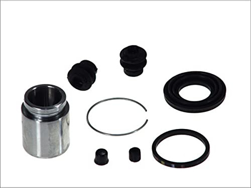 AUTOFREN SEINSA D41603C Bremssattel-Reparatursatz Hinten Kompatibel mit NISSAN X-TRAIL T30 TEANA I J31