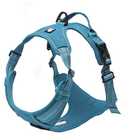 TRUE LOVE Truelove TLH5651 Hundegeschirr, verstellbar, reflektierend, für Welpen, bequeme Kontrolle, brillante Farben, Blau, Größe XS